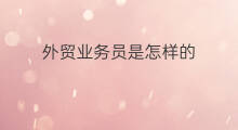 外贸业务员是怎样的 外贸业务员是干什么的