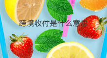 跨境收付是什么意思 应收付帐款什么意思