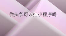 微头条可以挂小程序吗 微头条小程序优化