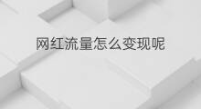 网红流量怎么变现呢 网红流量是怎么变现金