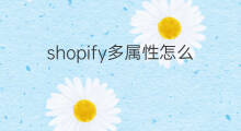 shopify多属性怎么批量修改 shopify显示产品多属性颜色