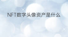 NFT数字头像资产是什么 数字头像nft在哪买