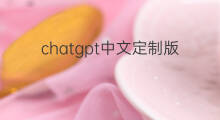 chatgpt中文定制版 chatgpt中文定制版收费