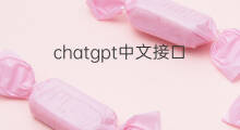 chatgpt中文接口(chatgpt接口提供中文助理服务)