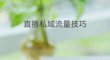 直播私域流量技巧 外卖私域流量技巧