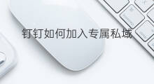 钉钉如何加入专属私域 手机副业怎么加入钉钉