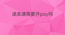 速卖通需要开pay吗 速卖通需要开通pay吗