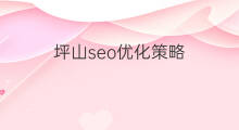 坪山seo优化策略 坪山seo优化定制
