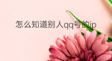怎么知道别人qq号的ip 知道别人的qq号怎么查ip