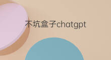 不坑盒子chatgpt(chatgpt盒子)