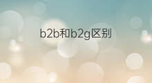 b2b和b2g区别 b2b和b2c区别和优点