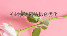 苏州快速网站排名优化 苏州便宜的网站排名优化