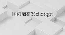 国内能研发chatgpt吗(chatgpt国内有研发吗)