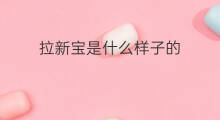 拉新宝是什么样子的 抖音拉黑是什么样子