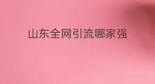 山东全网引流哪家强 山东虾皮软件哪家好