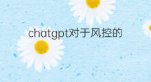 chatgpt对于风控的影响(chatgpt对于未来教育的影响)