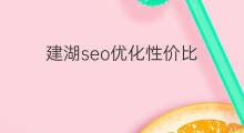 建湖seo优化性价比 建湖seo优化营销