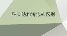 独立站和淘宝的区别 小店和独立站的区别