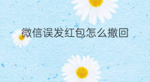 微信误发红包怎么撤回 微信私发红包怎么撤回