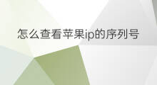 怎么查看苹果ip的序列号 怎么查苹果ip序列号查询