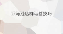 亚马逊店群运营技巧 店群模式运营技巧