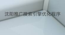 沈阳推广搜索引擎优化程序 沈阳品质搜索引擎优化程序