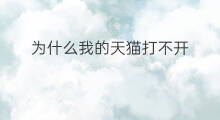 为什么我的天猫打不开 为什么快手挂件打不开