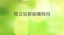 独立站都能赚钱吗 进军独立站赚钱吗