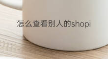 怎么查看别人的shopify网站 怎么拷贝别人的shopify网站