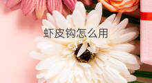 虾皮钩怎么用 虾皮钩技巧