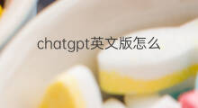 chatgpt英文版怎么设置中文版(chatgpt分中文版和英文版吗)
