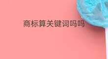 商标算关键词吗吗 什么算关键词