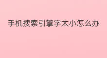 手机搜索引擎字太小怎么办 手机上出现搜索引擎怎么办