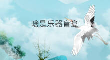 啥是乐器盲盒 啥是拆盲盒
