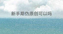 新手期伪原创可以吗 伪原创能过新手期吗