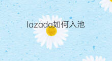 lazada如何入池 如何入駐lazada