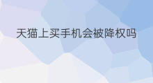 天猫上买手机会被降权吗 京东和天猫买手机哪个靠谱