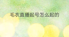 毛衣直播起号怎么起的 毛衣该如何起号