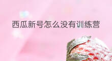 西瓜新号怎么没有训练营 西瓜训练营怎么加油