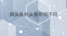微头条和头条有何不同 微头条和头条什么差别