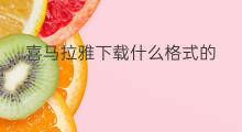喜马拉雅下载什么格式的 喜马拉雅的原创怎么下载