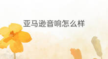 亚马逊音响怎么样 收录机换音响怎么样接线 亚马逊音响怎么样 收录机换音响怎么样接线