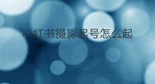 小红书摄影起号怎么起 公司小红书起号怎么起