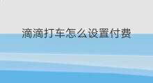 滴滴打车怎么设置付费 大连滴滴打车赚钱吗