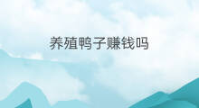 养殖鸭子赚钱吗 卖鸭子赚钱吗