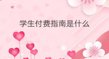 学生付费指南是什么 指南收录是什么意思