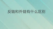 反链和外链有什么区别 反链和外链有区别吗
