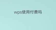 wps使用付费吗 wps付费吗