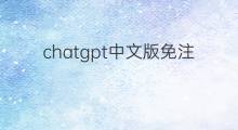 chatgpt中文版免注册(怎么注册chatgpt中文版)