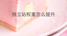 独立站权重怎么提升 怎么提升独立站权重